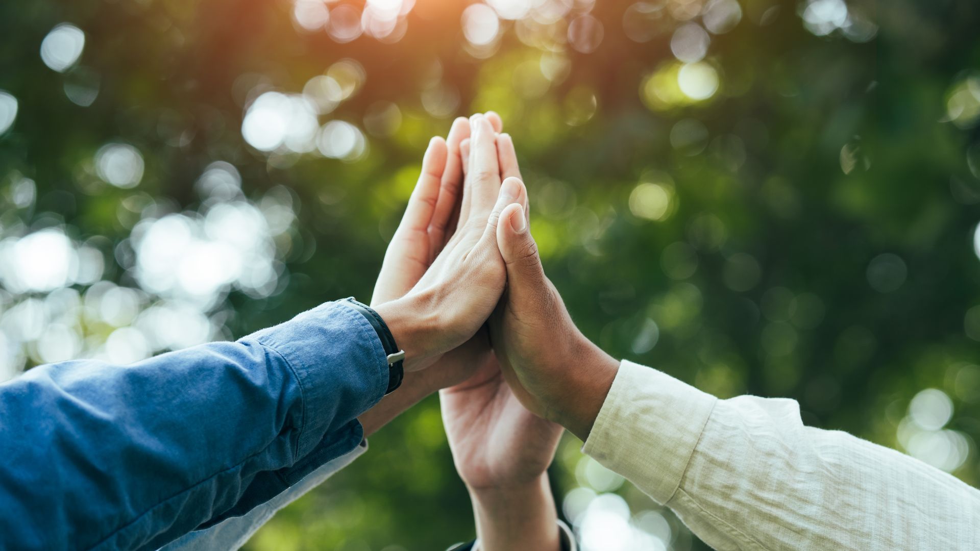 About Pause Pain & Wellness